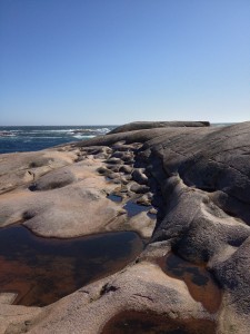 This picture was taken on the granite island called Hållö, which was our first stop. These are p-forms, which are caused by high-pressure water movement under the thick glacier.