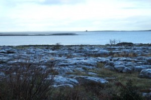 Here is a view of Galway bay and the rocky landscape on our walk back to the cottages. 